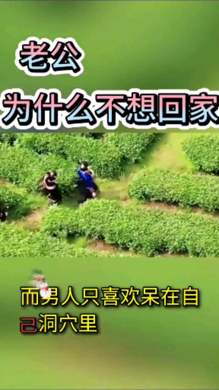 老公为什么不想回家#情感语录#励志正能量#商家号战疫行动#遇见春天