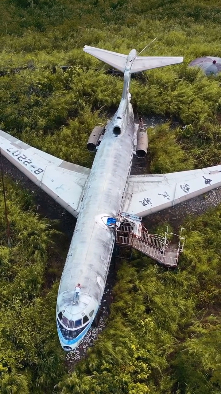 隐匿在广东某森林的废弃飞机,你知道在哪里吗?