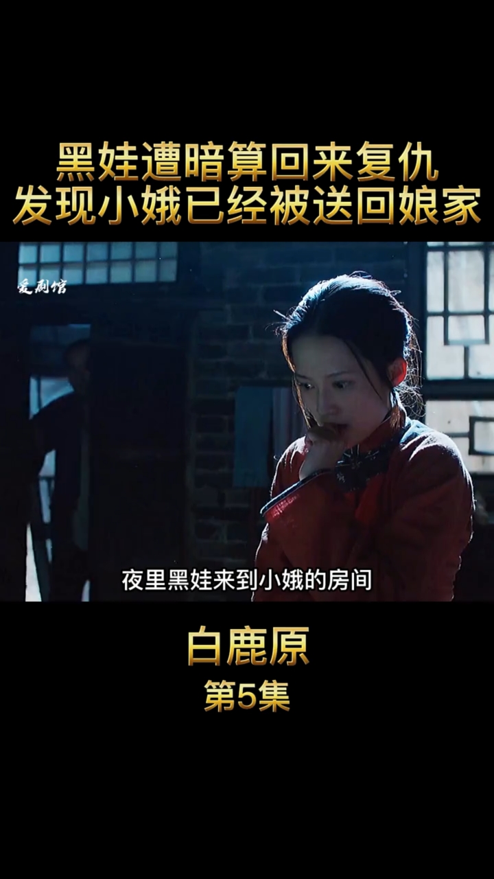 电影解说黑娃与小娥再度重缝