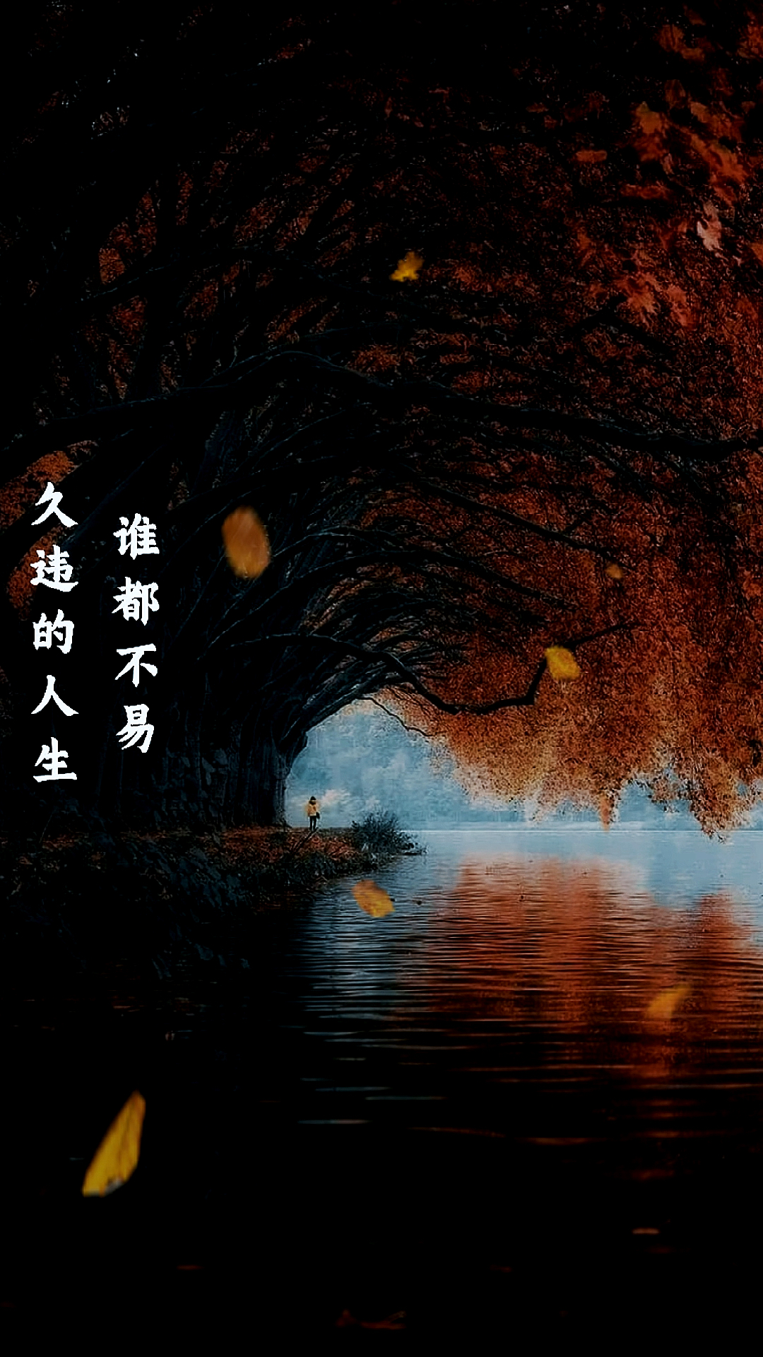情感,语录/风雨人生路……#情感语录