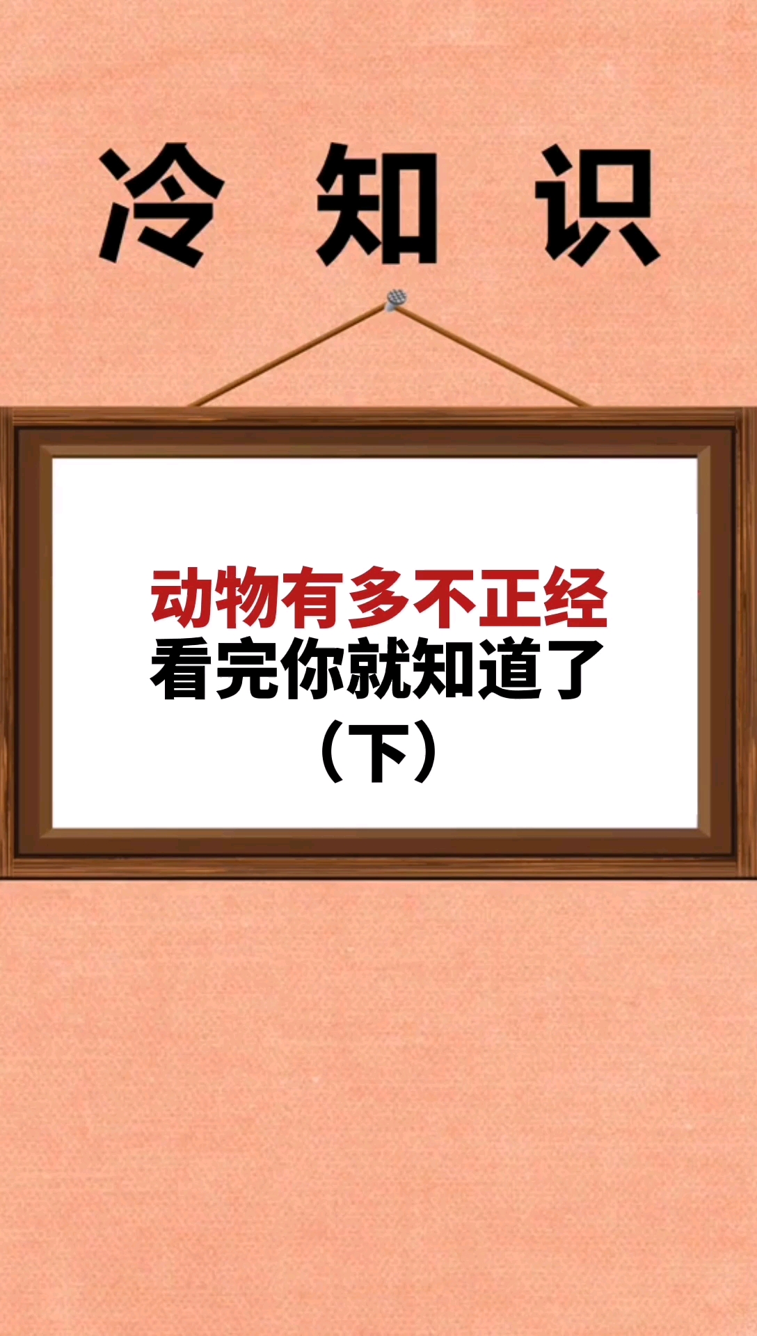 動物也搞笑#這些動物也太不正經了吧