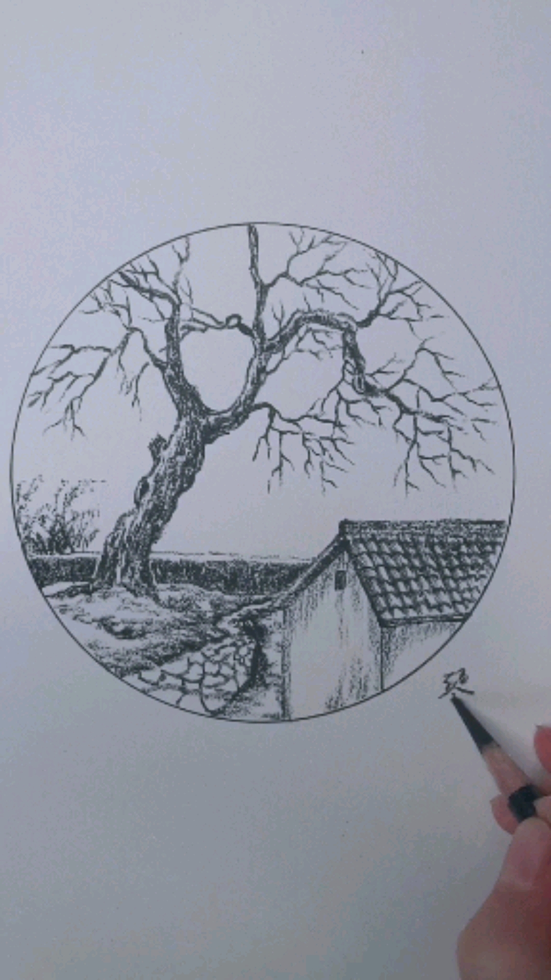 画画#枯树的绘画教程来啦!