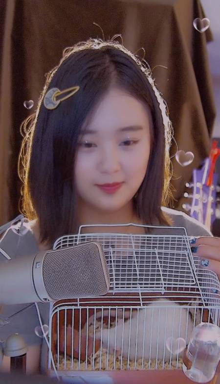 小鸭丘比特琪妹直播回放