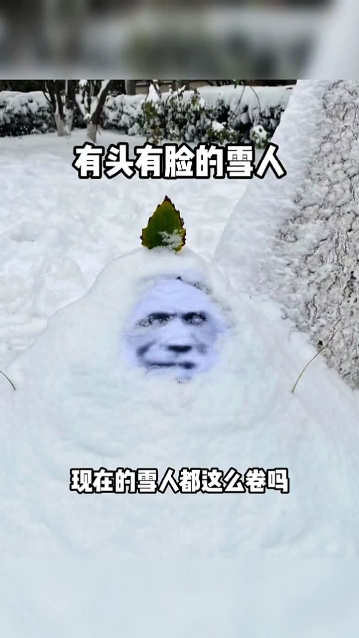 大熊猫终于下雪啦可以堆雪人啦