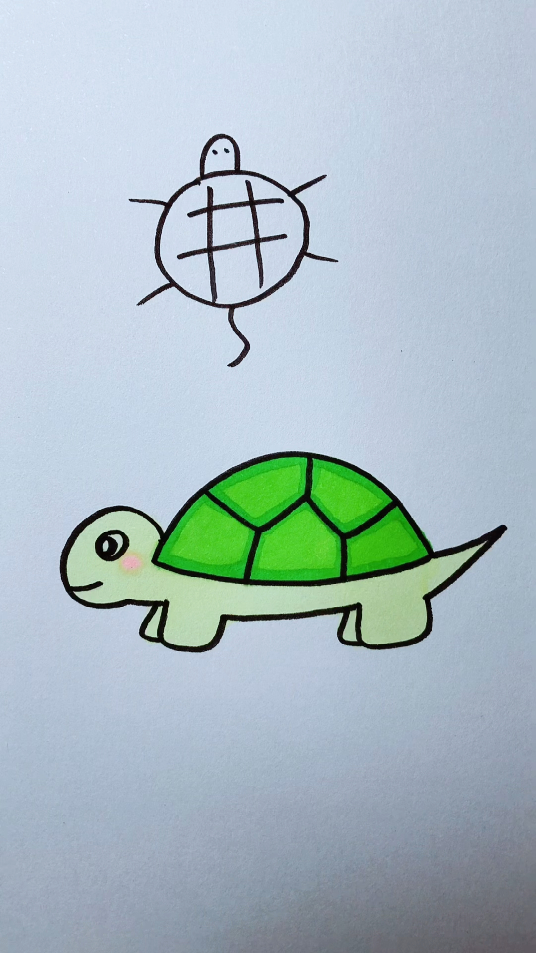 真正的乌龟怎么画图片