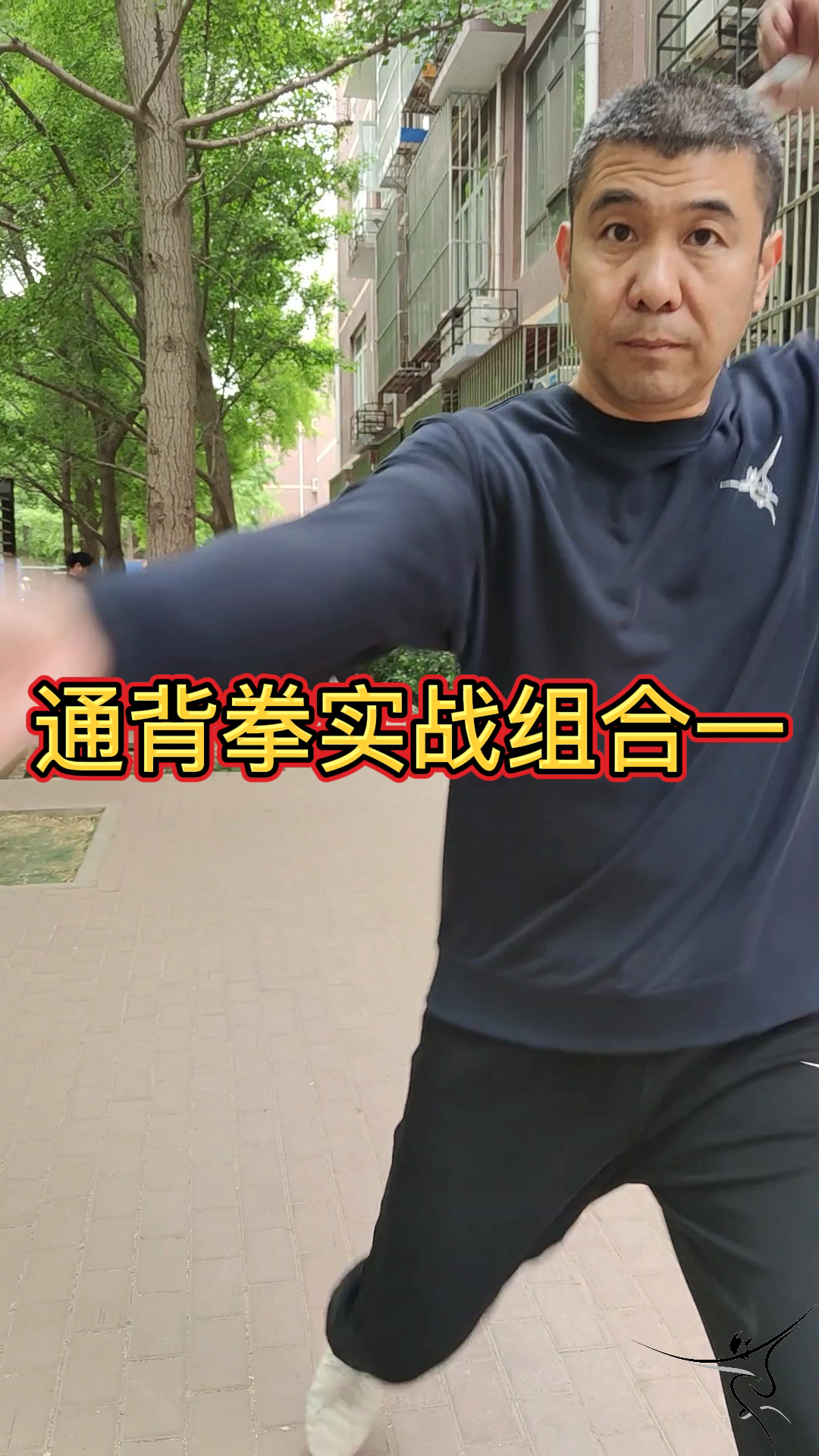 通背拳通背拳实战小组合一