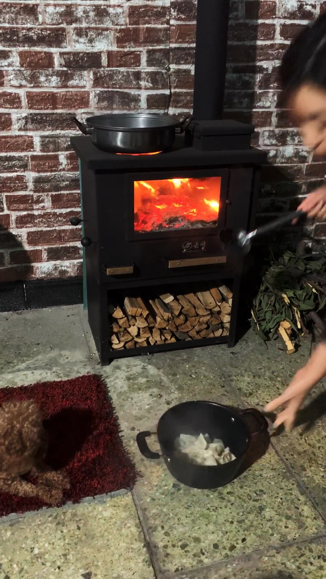 你好秋天#多功能可拆卸庭院无烟真火壁炉取暖柴火炉炊事烤箱玻璃自