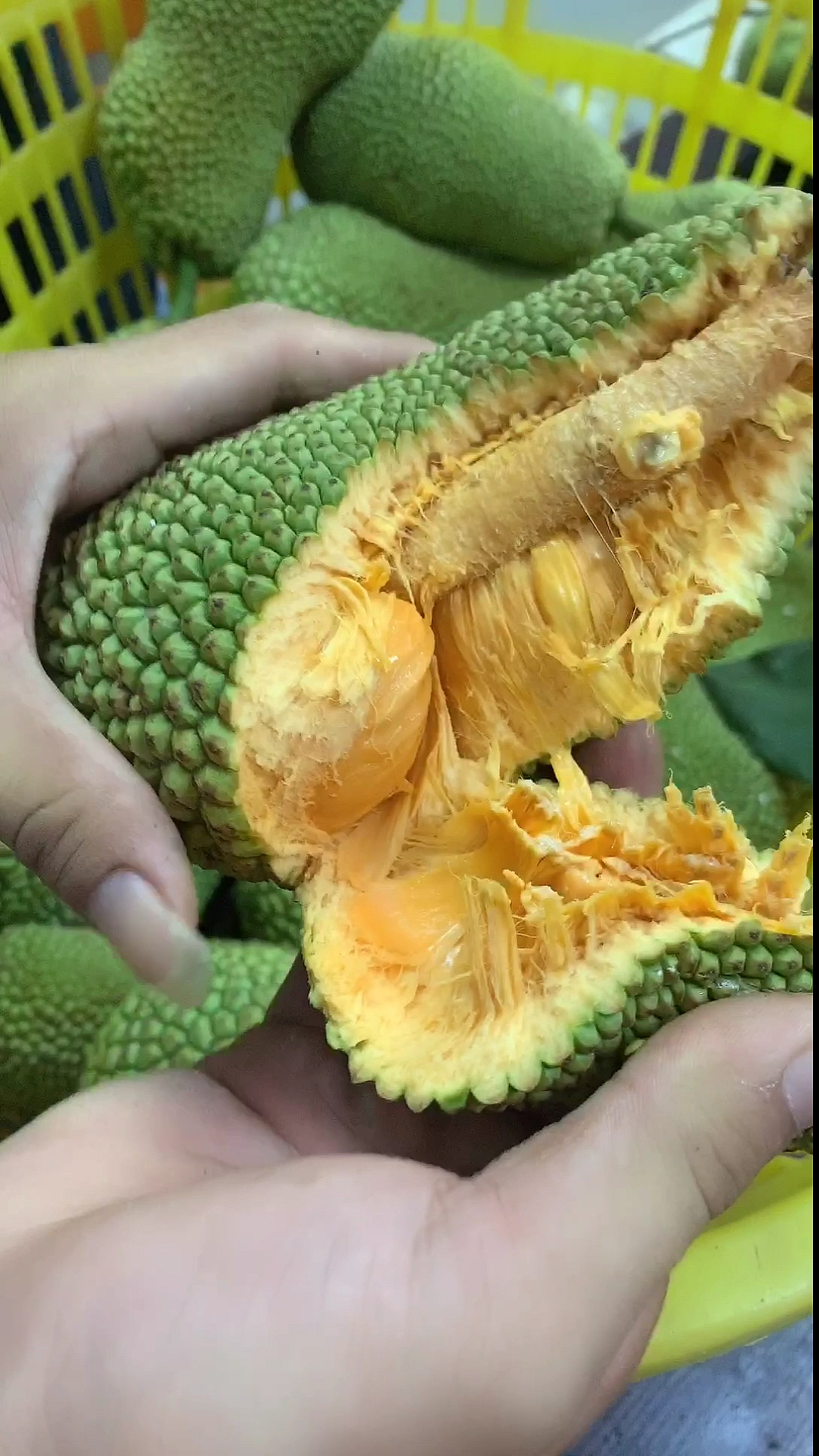 魅力三亚情#这个是海南保亭红肉榴莲密