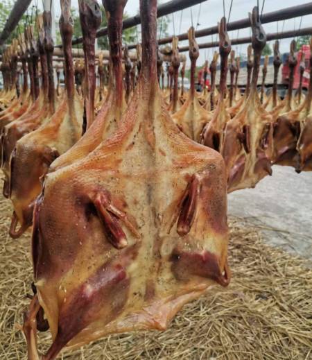 阳春岗美腊鸭家乡特产喜欢吃腊鸭鸭肾的朋友评论区留言