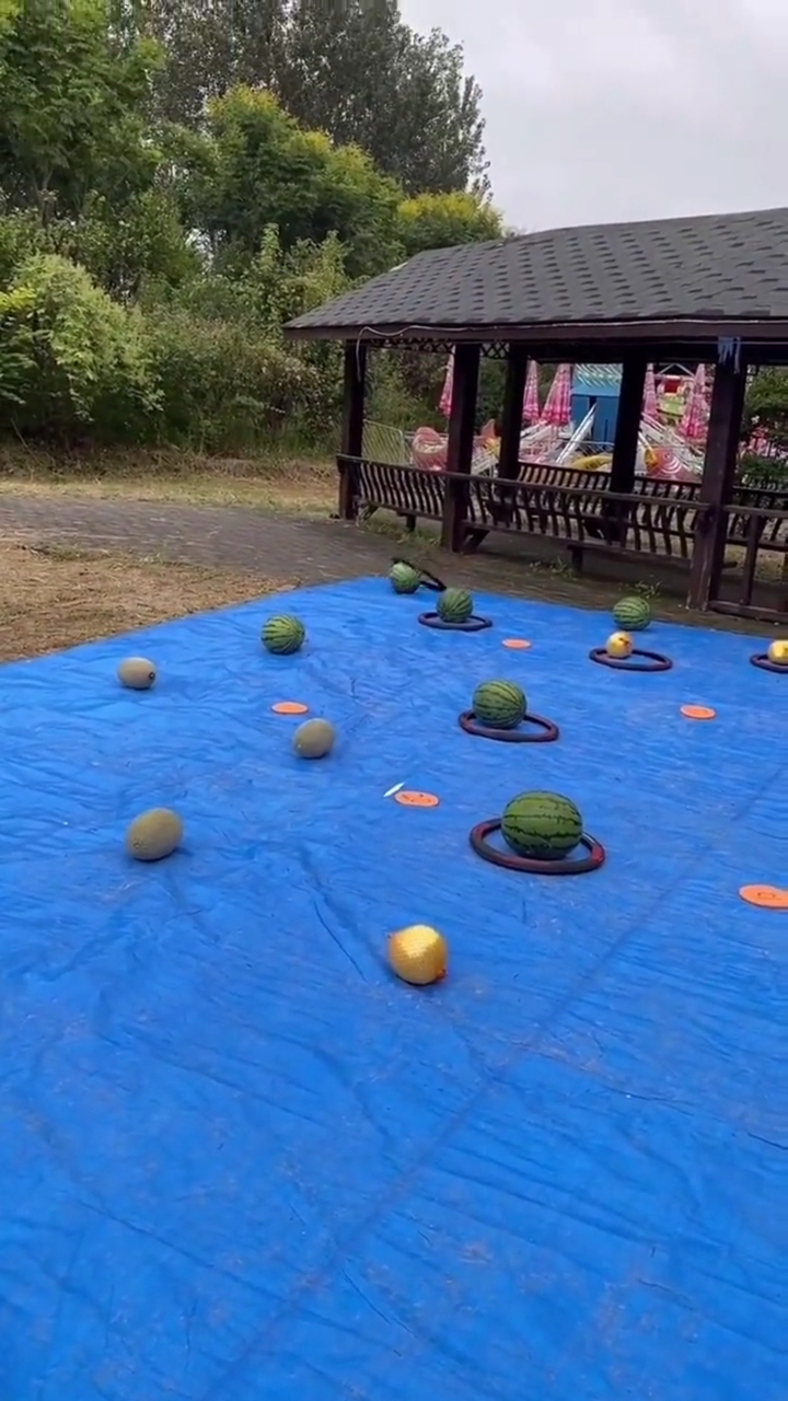 套圈套到老板内心崩溃,不服也不行