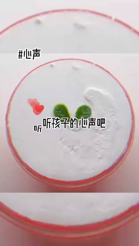 evina神仙团队#听听孩子们的心声吧!