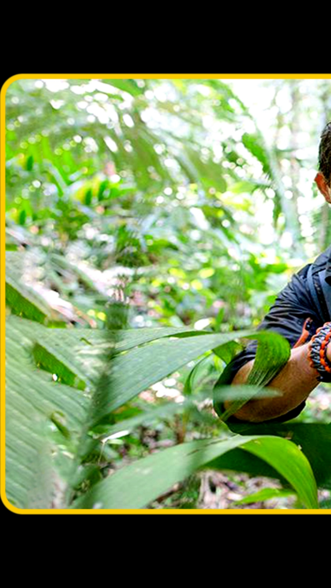 荒野求生看贝爷钻到冰川内部冒险