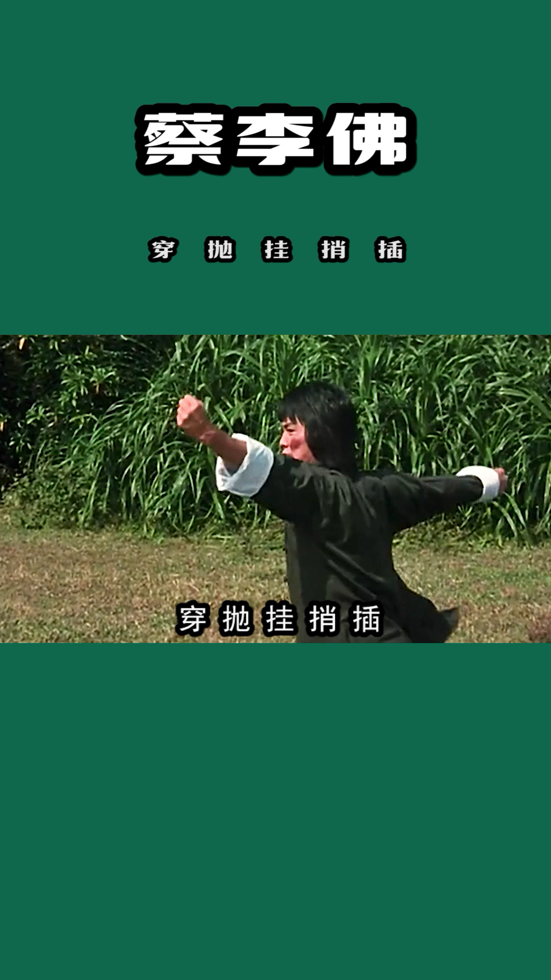 蔡李佛拳总决就五个字穿抛挂捎插