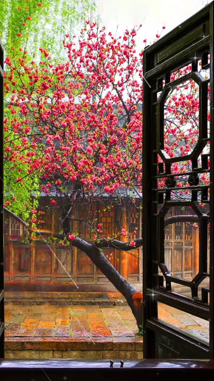 江南春早,春雨润春花,庭院深深从前,花红还胜旧年,唯愿,故人不变!