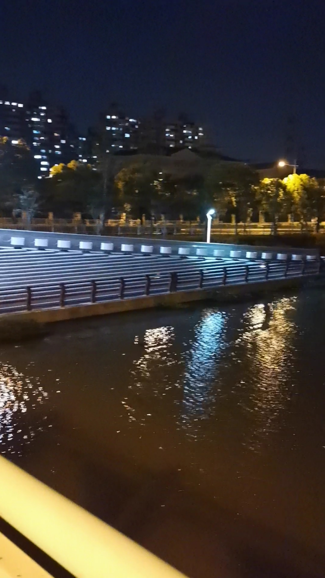 #你好,夏天#景观河道夜景!