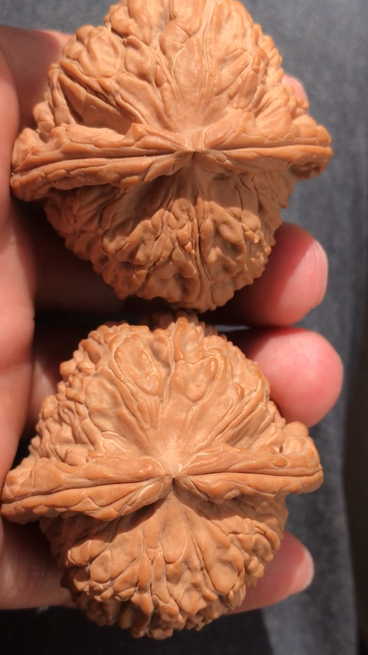 文玩核桃#47王三闷尖白狮子头