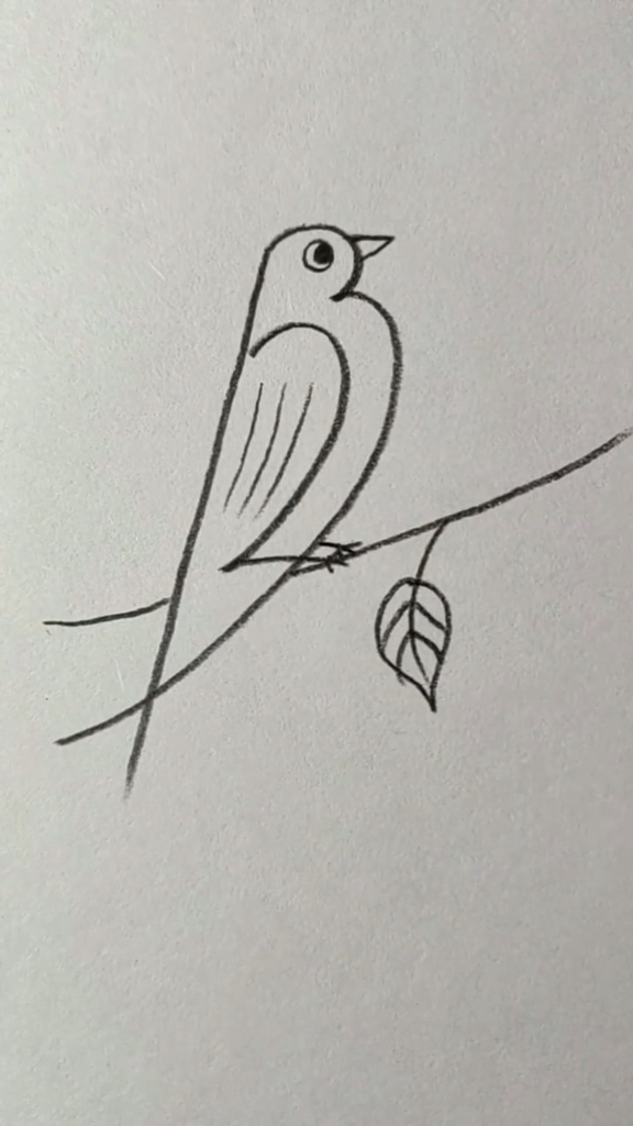 简笔画这样画小鸟超简单你学会了吗
