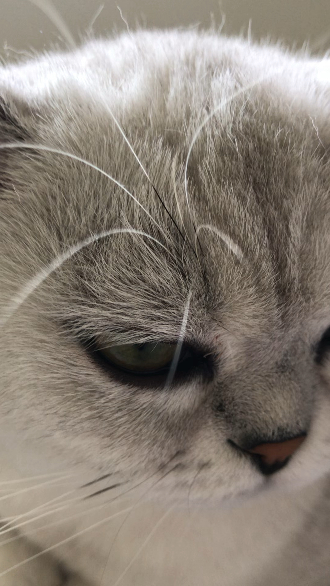 音为有你#眼神迷茫