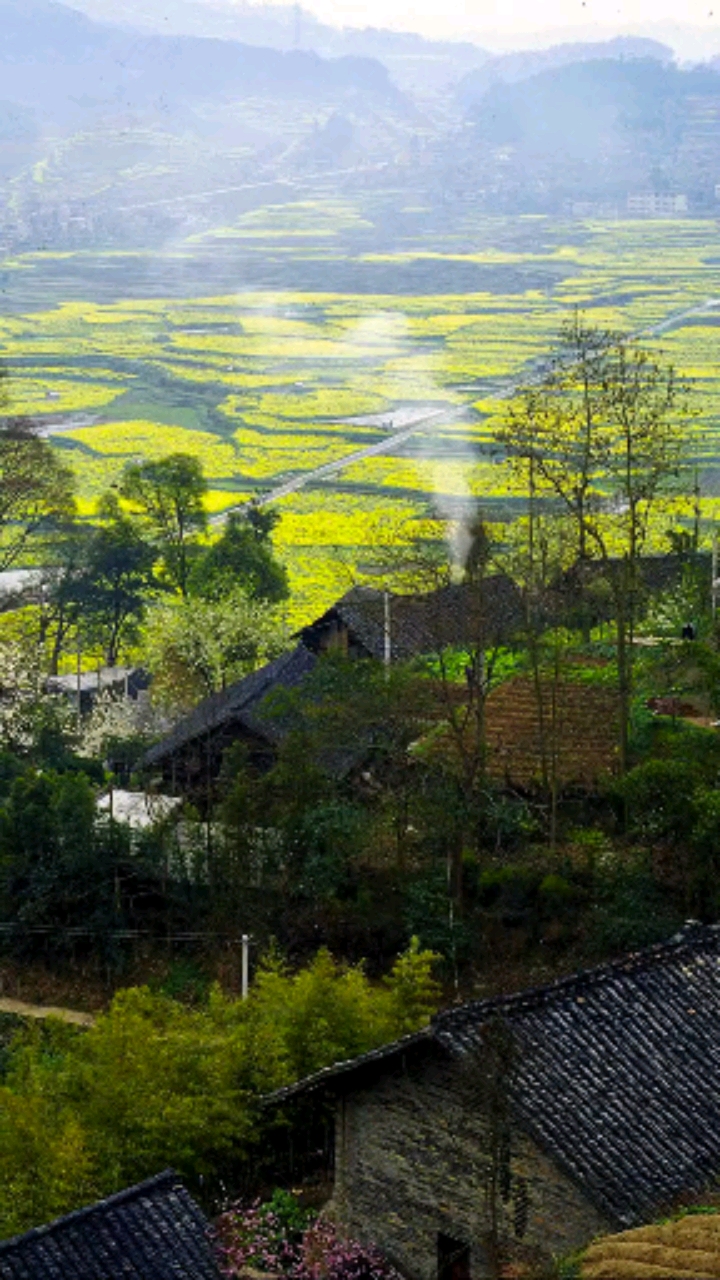 生活山清水秀,鸟语花香,人杰地灵,如诗如画[比心]