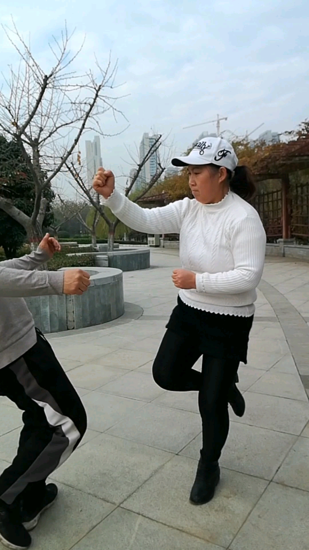 动作简单,实用,转发收藏,大洪拳