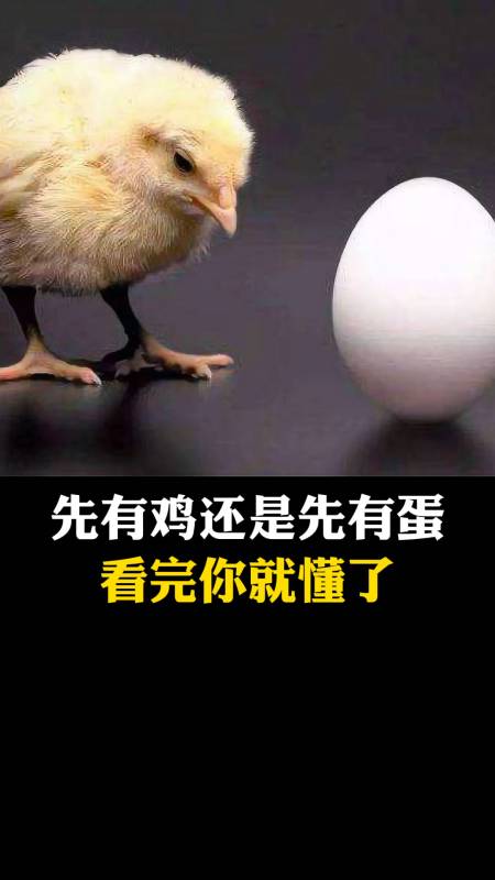 知识科普#先有鸡还是先有蛋?看完你就懂了