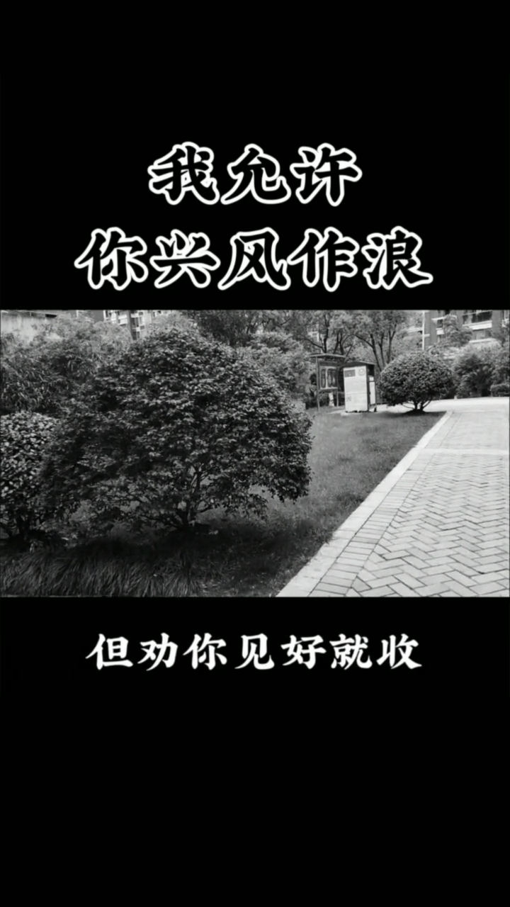 我允许你兴风作浪,但劝你见好就收