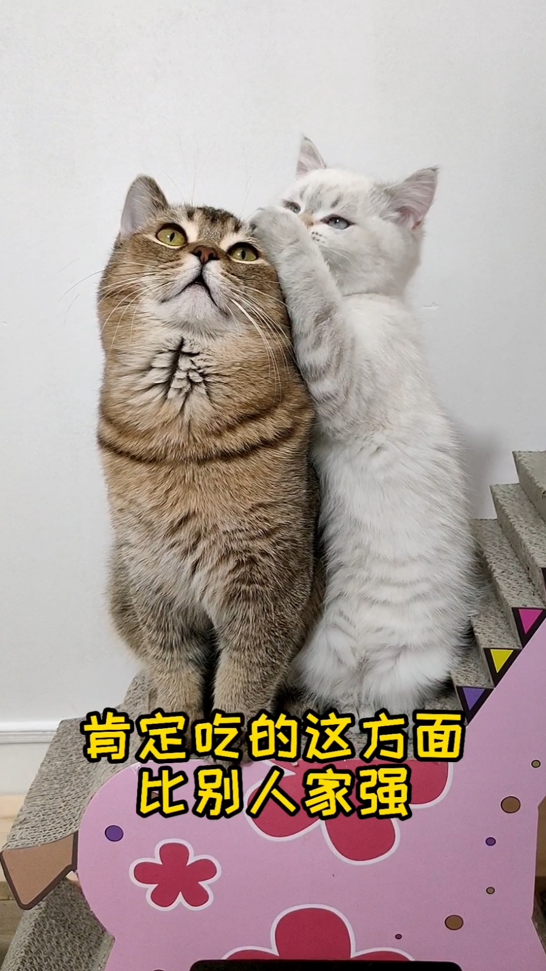 你俩交头接耳又在嘀咕啥呢