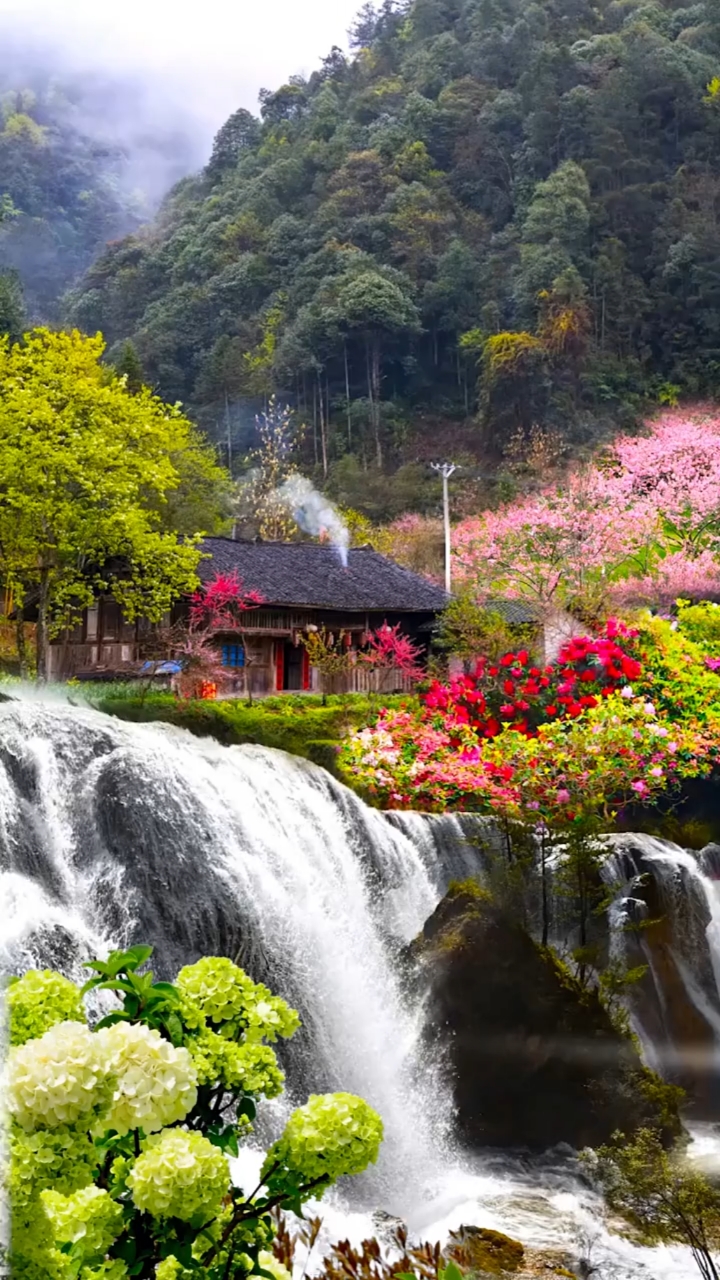 风景如画#即便世界偶尔凉薄,内心也要繁花似锦.