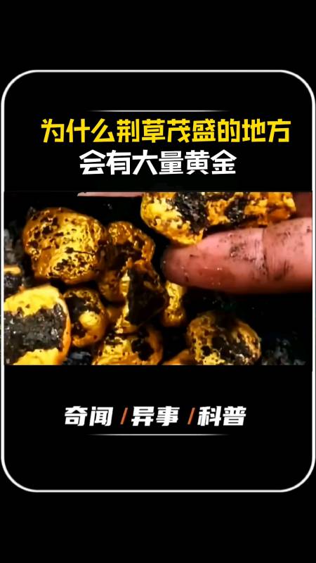 知识科普#为什么荆草茂盛的地方会有大量黄金?-度小视