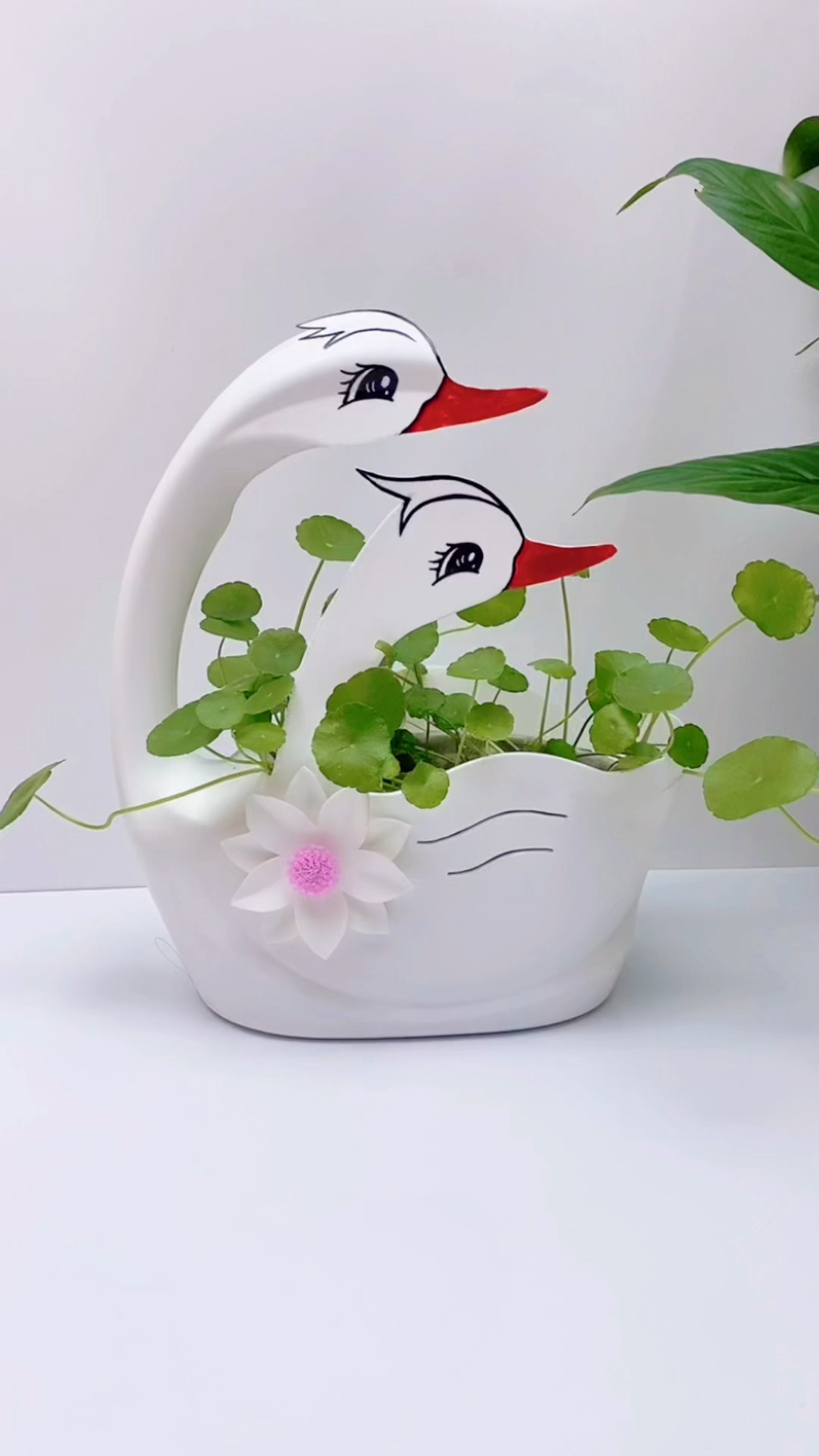 手工制作洗衣液瓶子别扔做成花盆它也可以很美