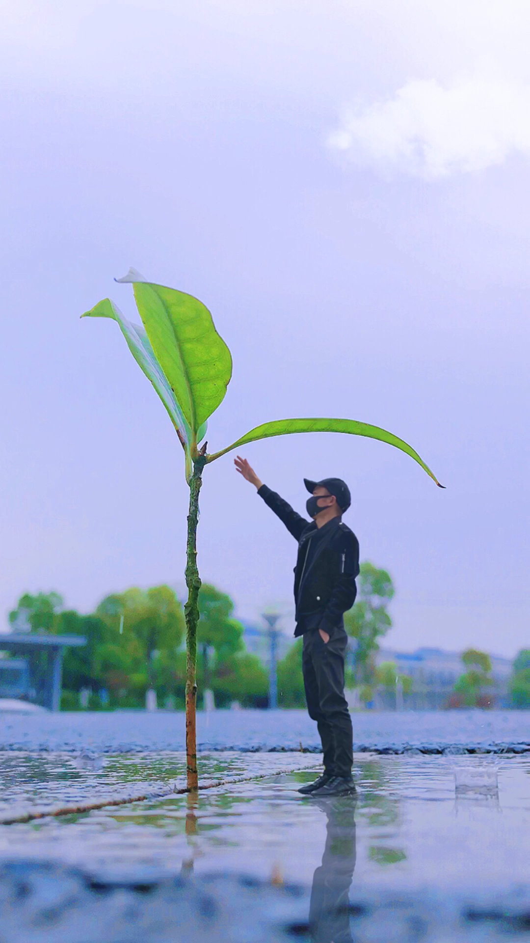 手机摄影教学#没想到一片树叶也能为我遮风挡雨.