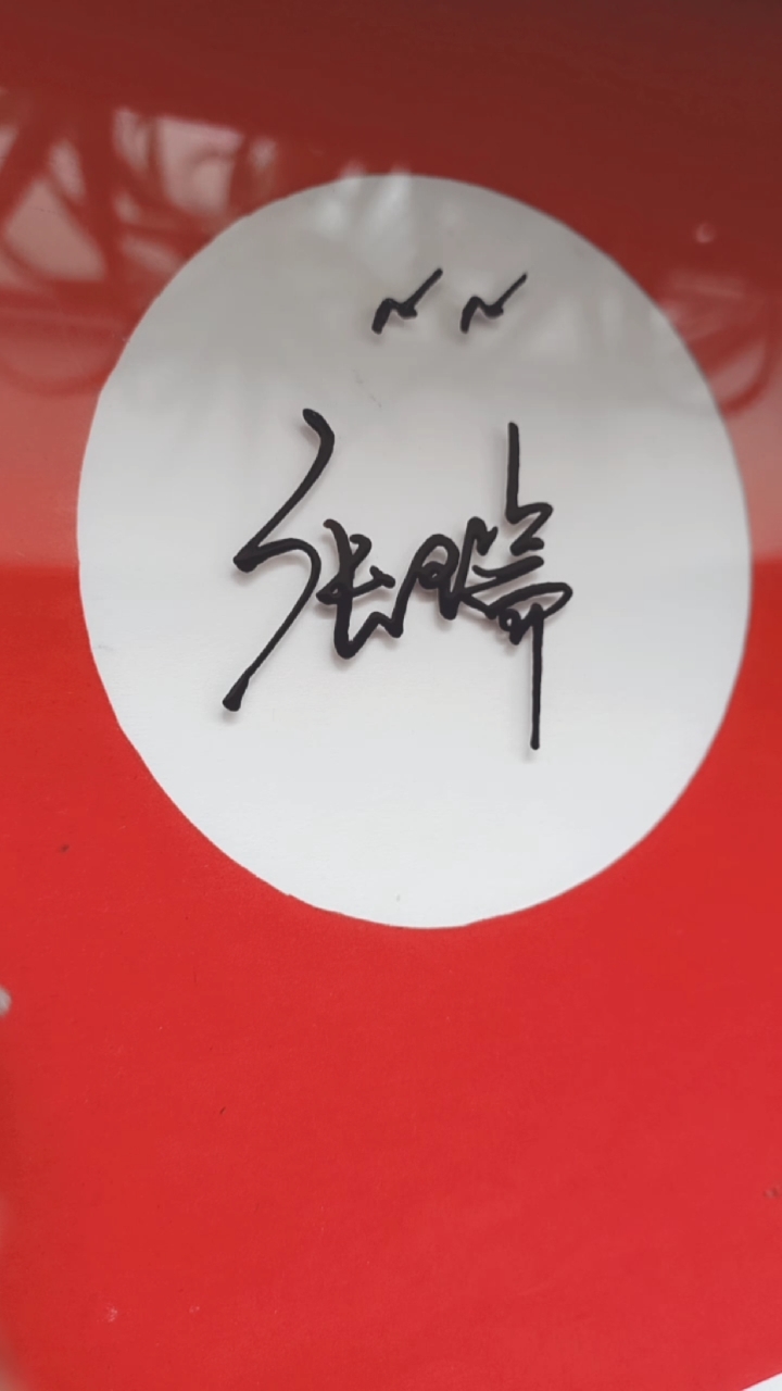 签名要有创意,欣赏后在这每一瞬间会给你留下永久的回忆#张瑞,你的