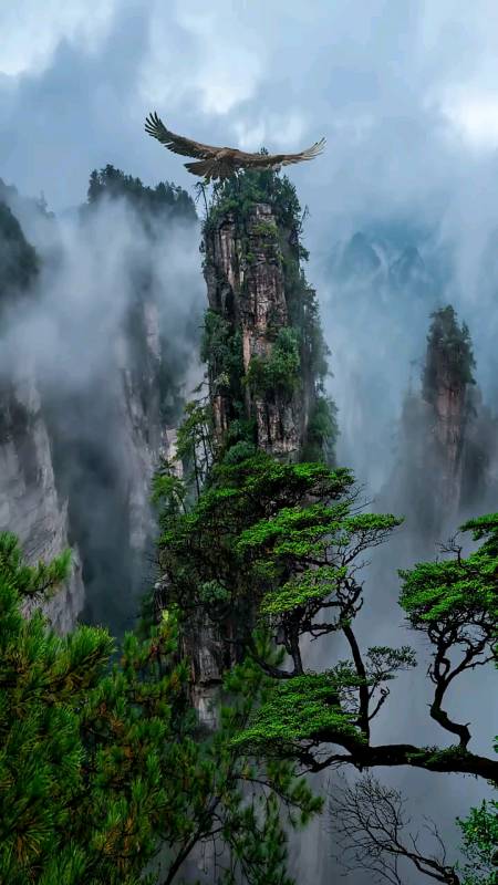 大自然美景#我想一定是仙界某个仙人一不小心打翻了一盘大盆栽,盆栽
