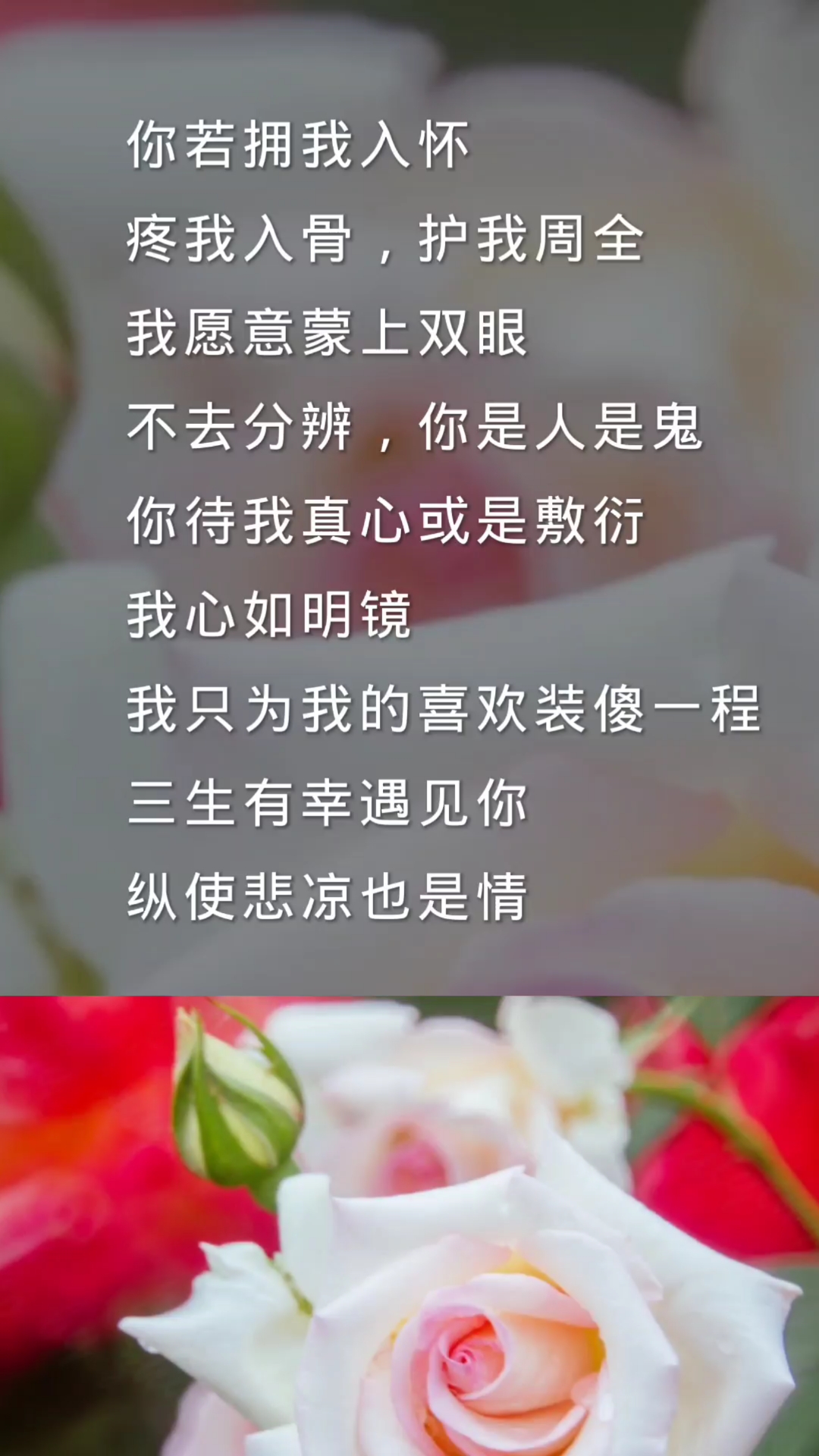 扎心情感语录三生有幸遇到你纵使悲凉也是情