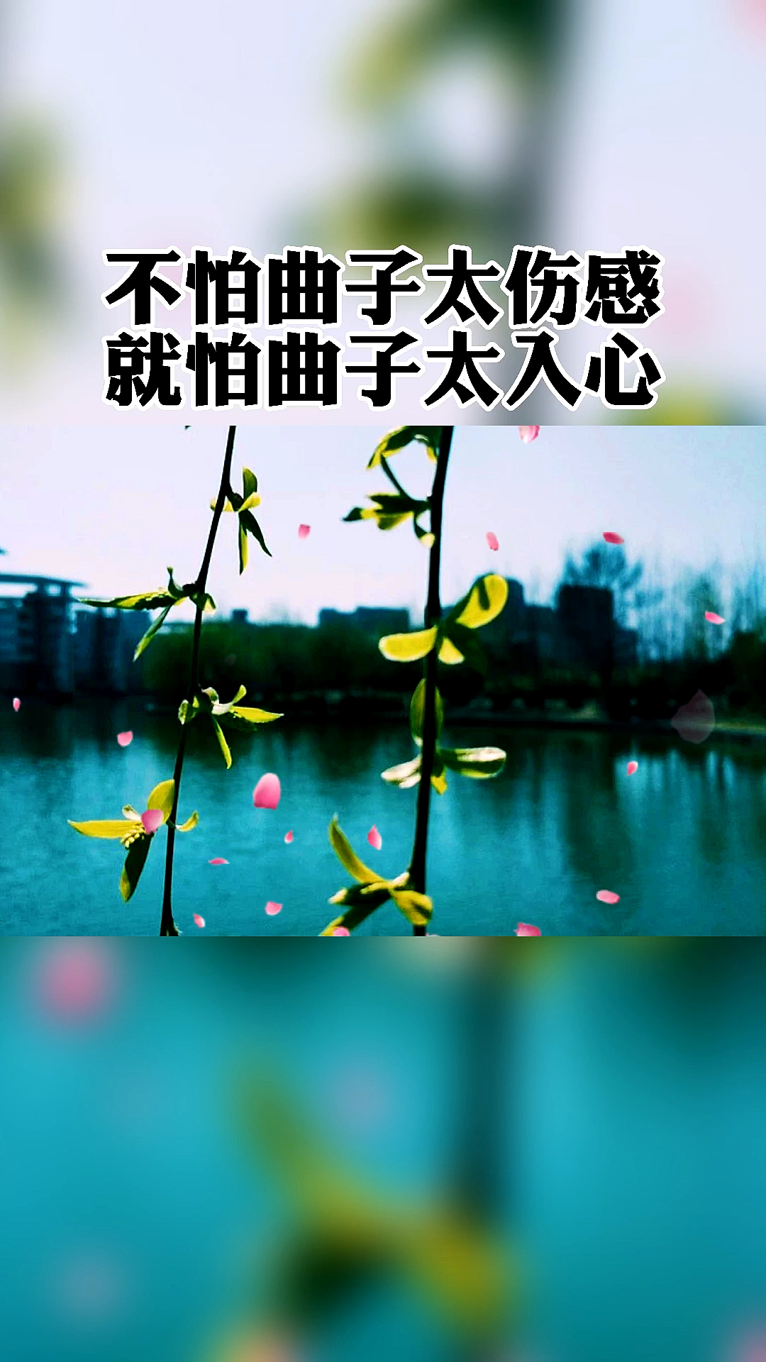 扎心情感语录#其实你明明知道,最卑贱不过感情,最凉不过是人心.