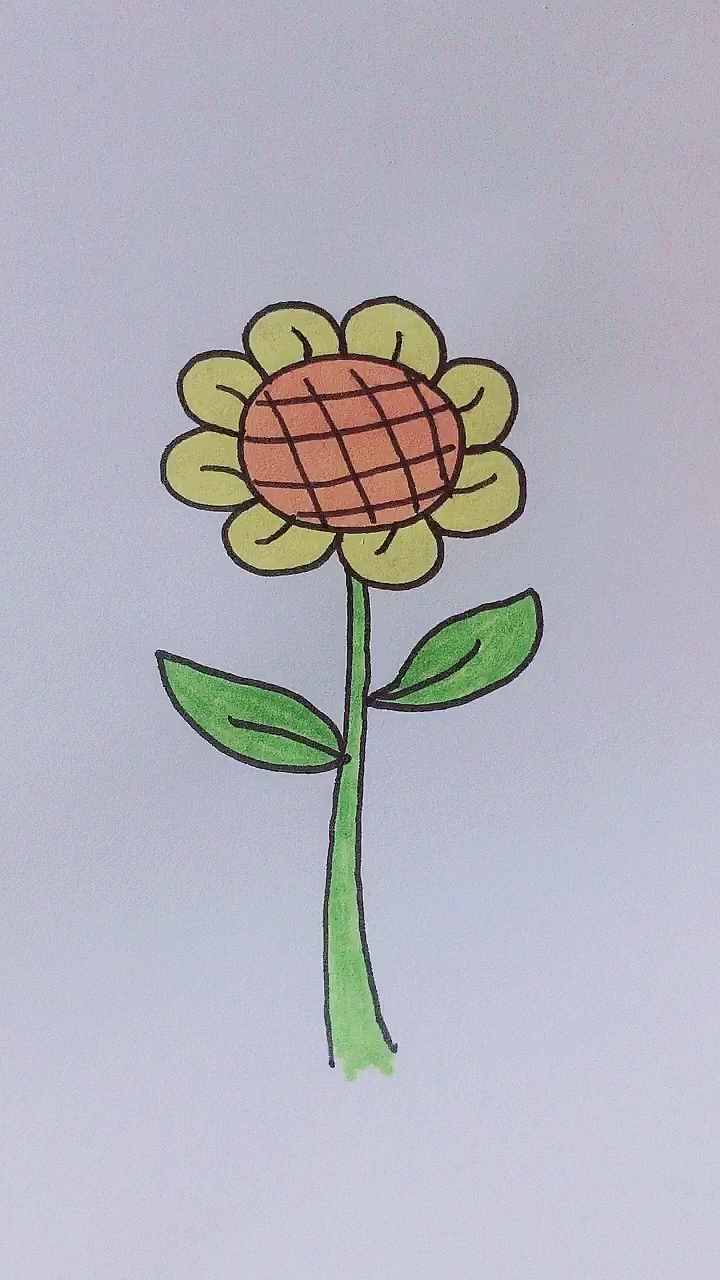 我要上热门#简笔画向日葵