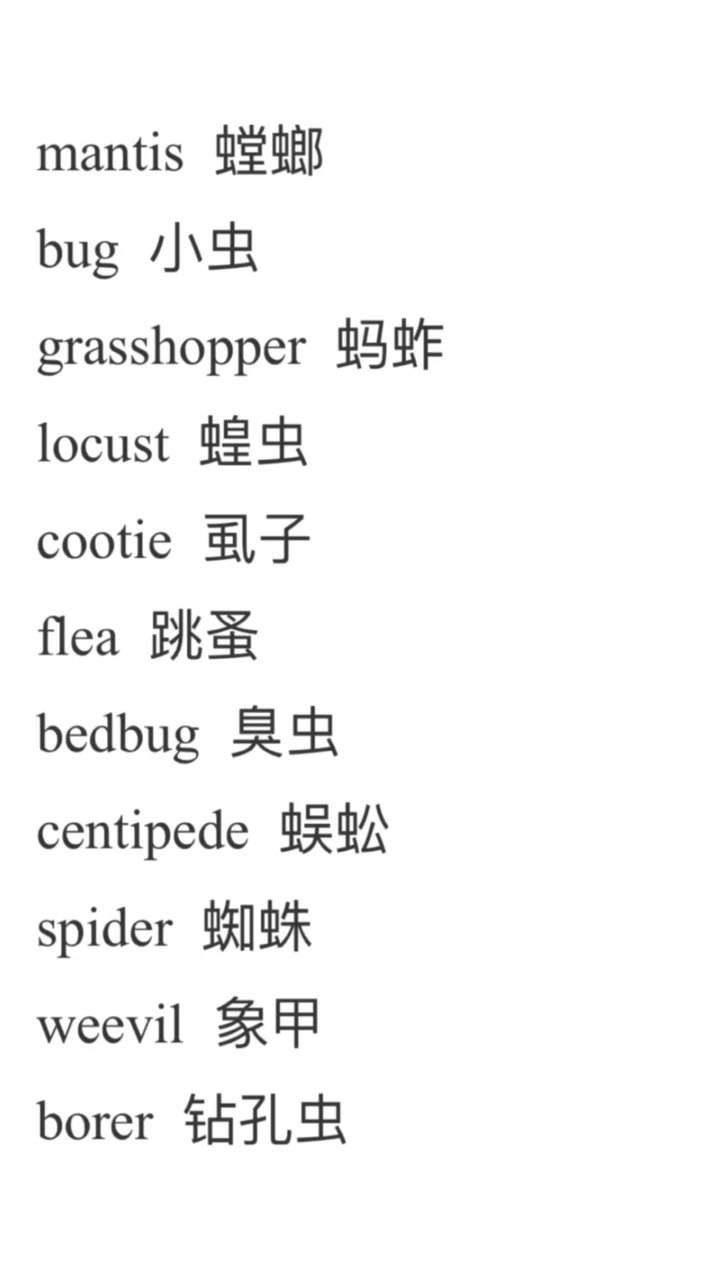 英语英语里的各种昆虫竹深树密虫鸣处时有微凉不是风