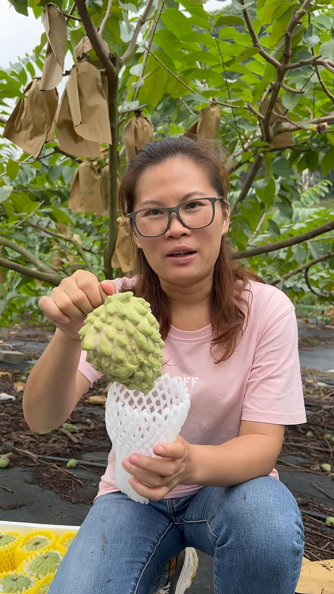 释迦果熟了表皮变黑的原因你懂了吗