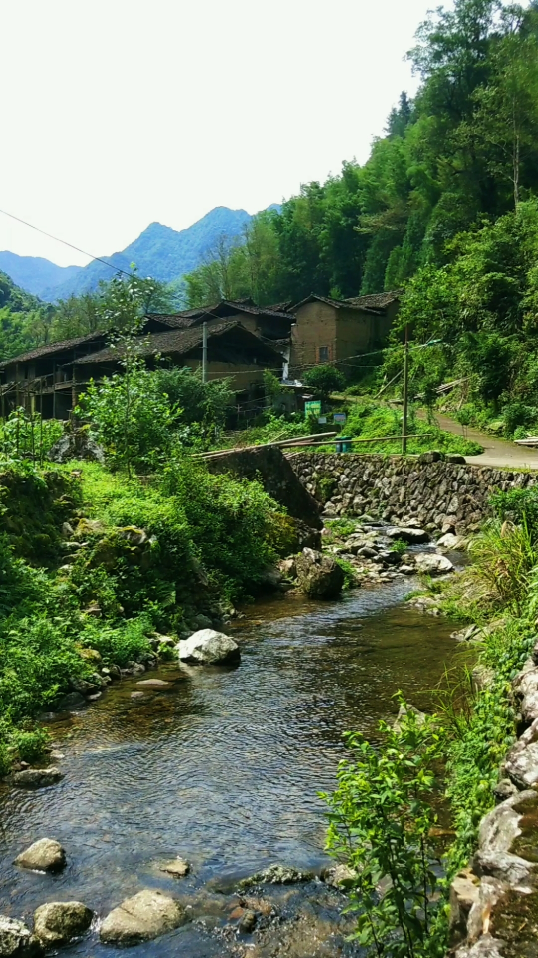 旅游进行时#@学有止境:门前小溪游鱼虾,屋旁绿荫鸦雀鸣.