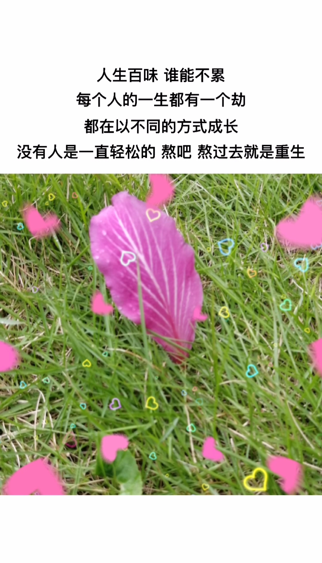 扎心情感语录#人上百味,谁能不累.熬吧!熬过去就是重生.