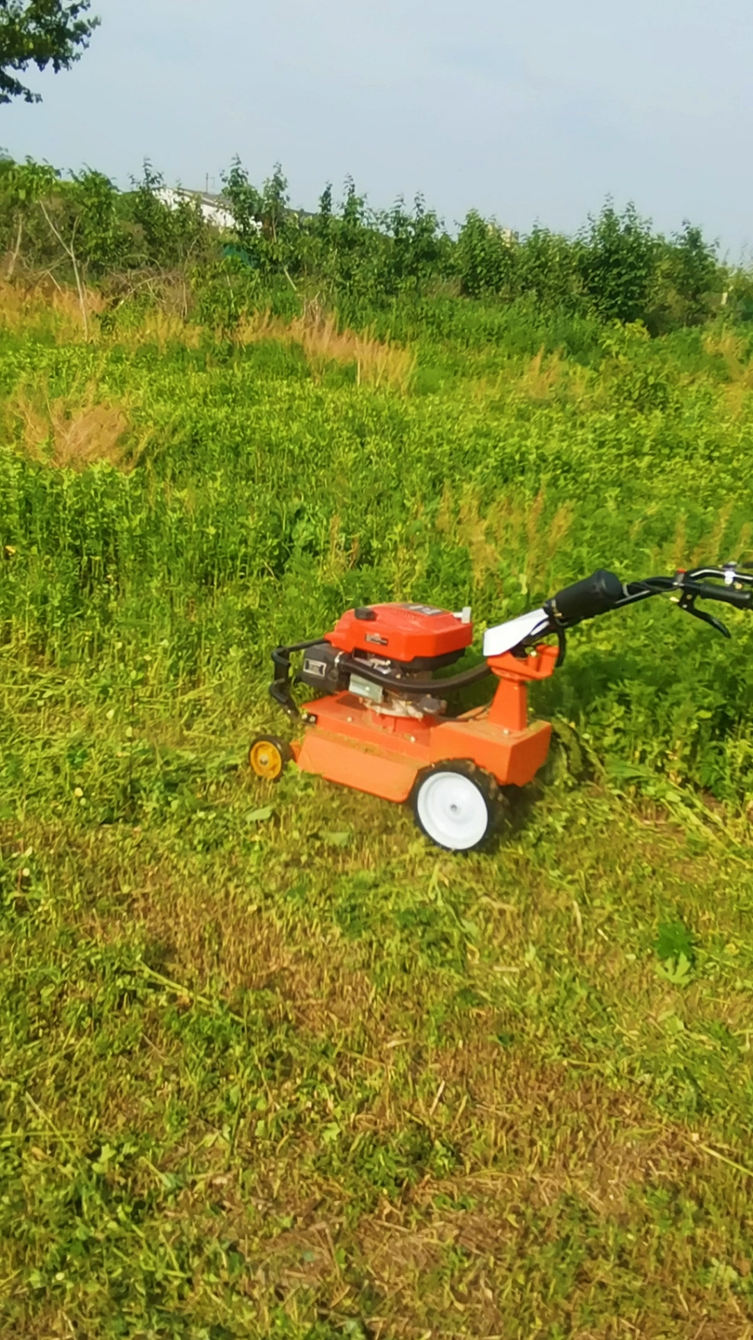 手推式碎草机#小型割草机,碎草机,无人驾驶干活,一天割草10亩地