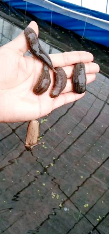 扫码下载全民小视频 有趣有收获