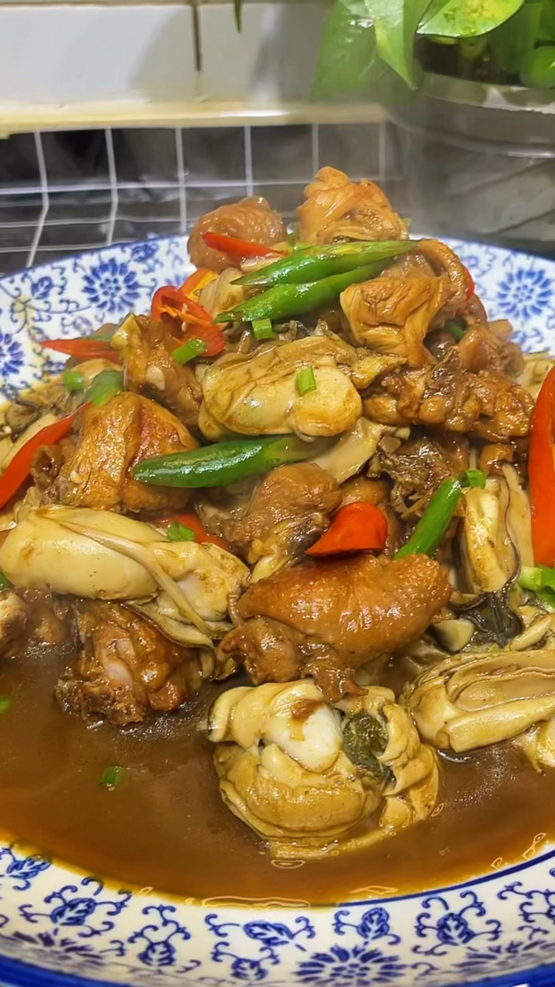 自制美食#家庭版生蚝焖鸡,感谢朋友们的支持!-度小视