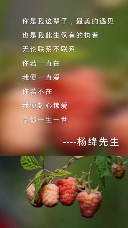 情感故事#你若在我便爱,你若不在我便封心锁爱