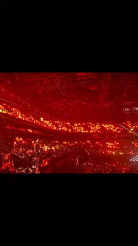 看到这一片红海,看到战战笑了…感谢现场的虾们,圆了我们心中的守护