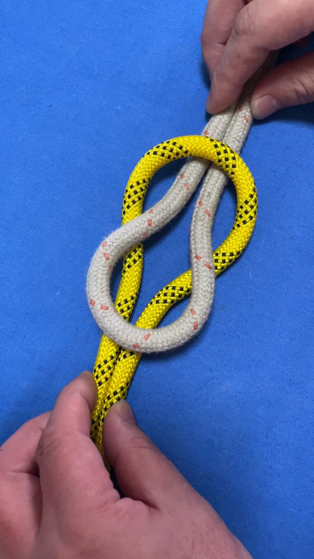 6种生活中应急常用的绳结