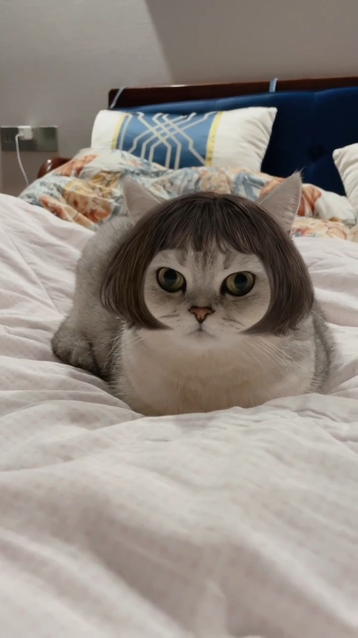 tony老师在线美发哈哈哈哈哈哈哈哈哈这位阿姨你有事吗