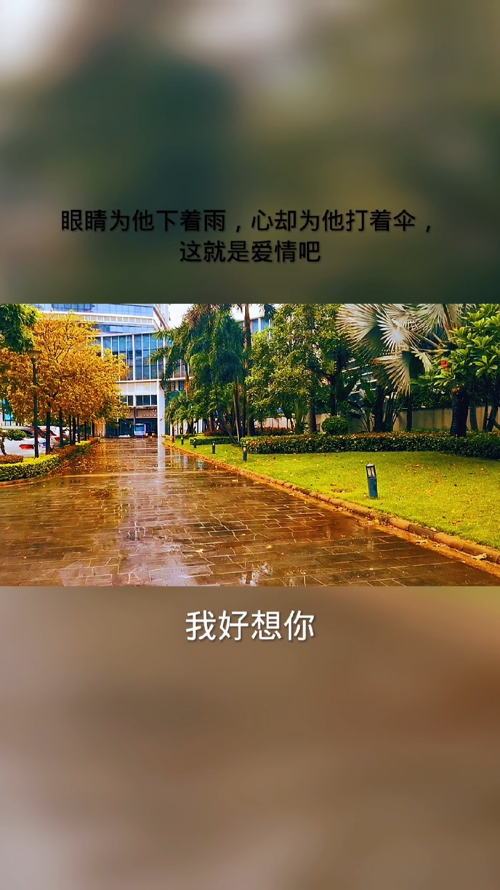 情感故事#眼睛为他下着雨,心却为他打着伞,也许这就是爱情吧