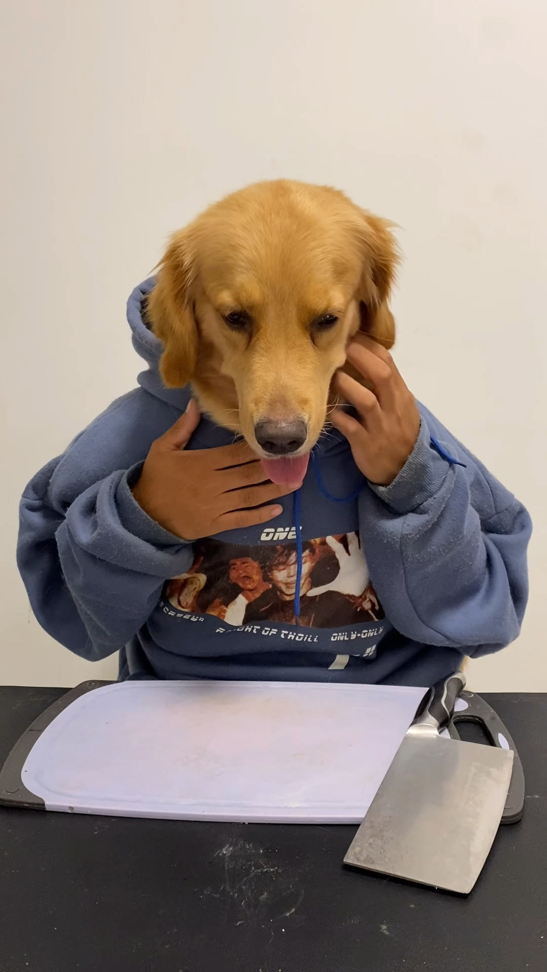 我家萌宠成精了狗头人身的狗头先生今天吃点啥呢