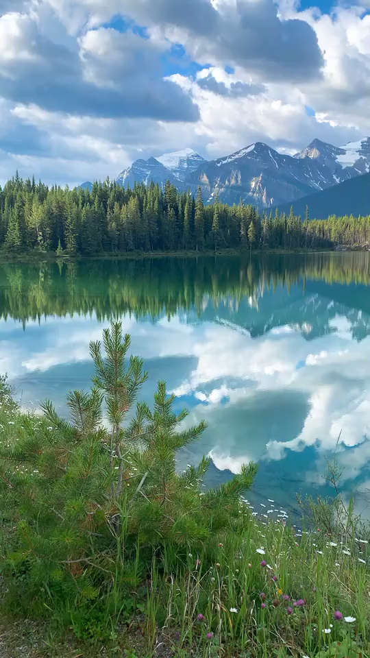 旅游美景#瑞士野外美景